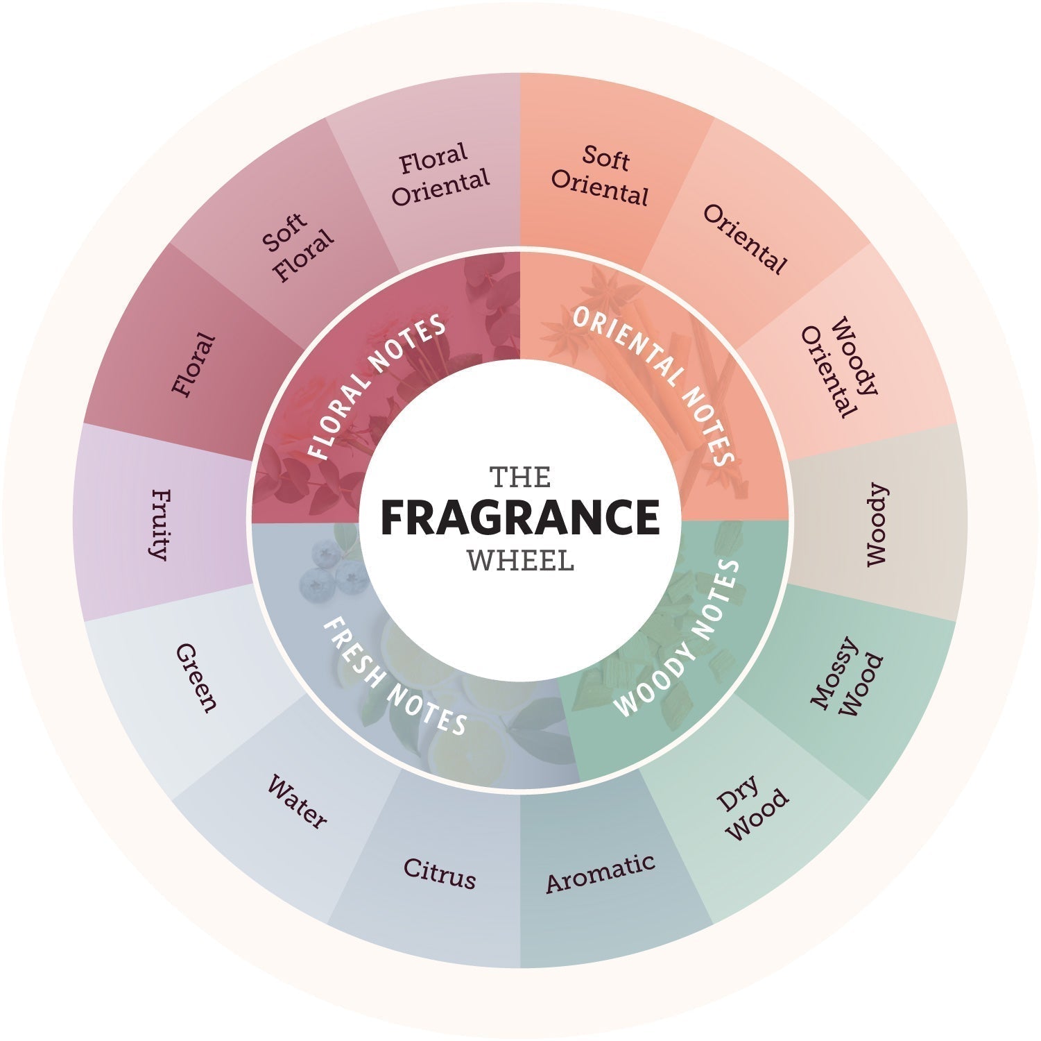 Exploring the Fragrance Wheel: Where Love No Shame Finds Its Place