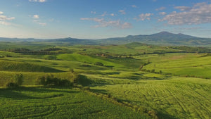 Onda d’Oro